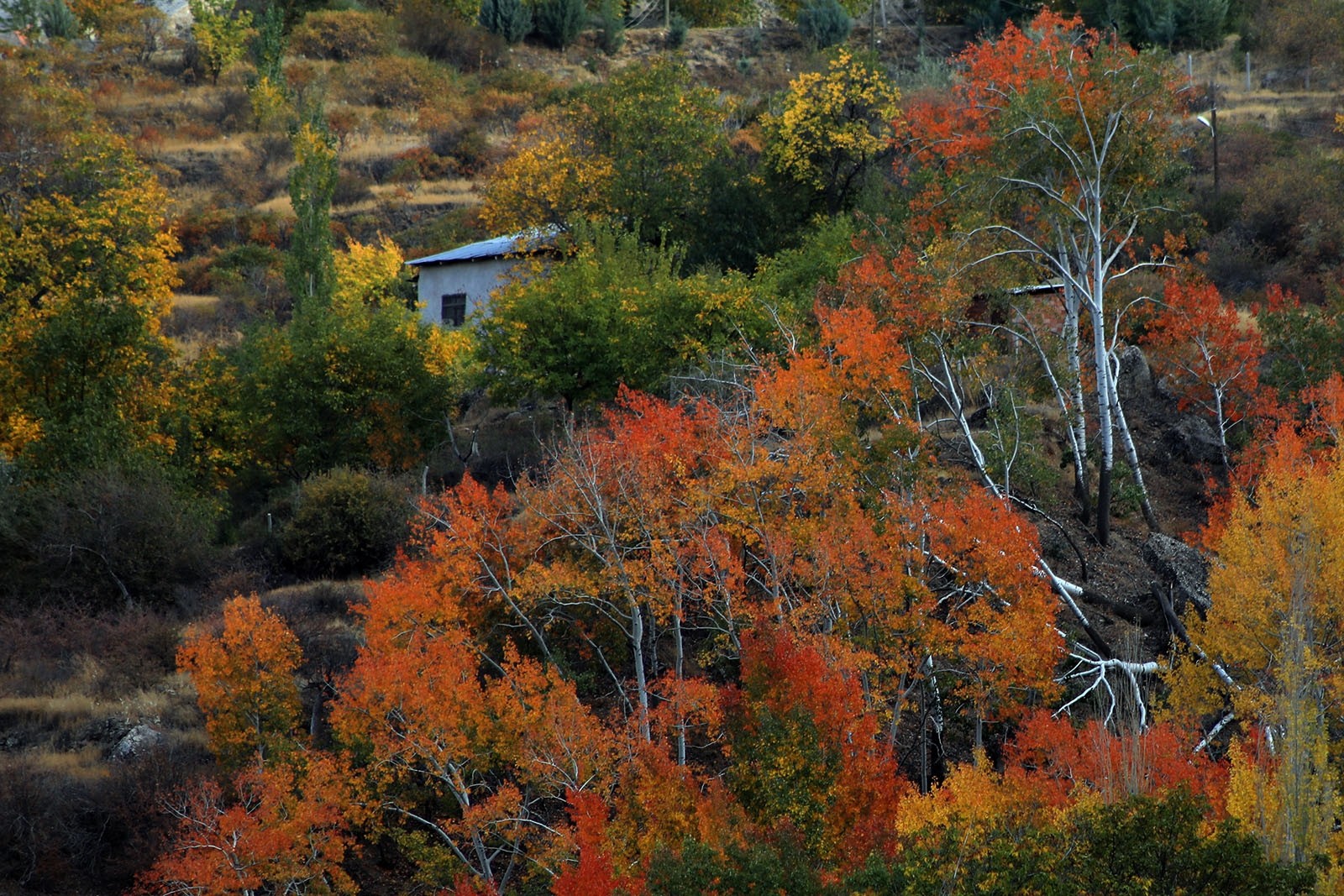 Яркие осенние цвета и каскадный водопад Гюнпынар в турецкой Малатье