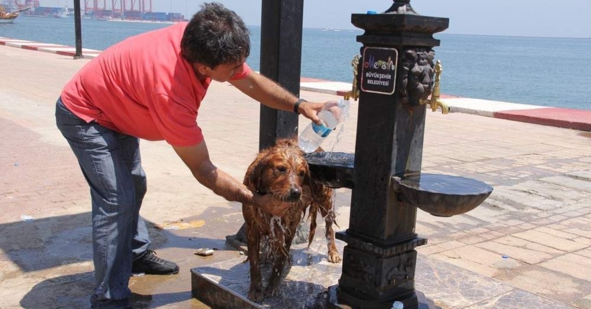 A man showers his dog to protect from extreme heat in Mersin, Turkey. (?HA Photo)