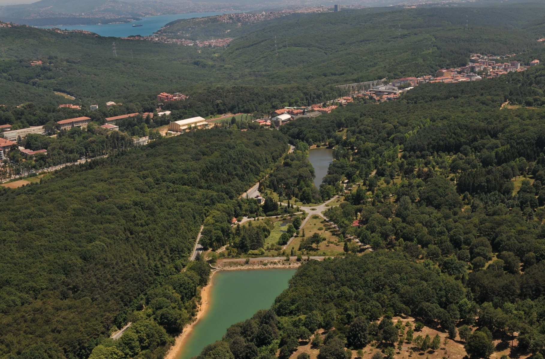 Белградский лес в стамбуле Белградский лес в стамбуле