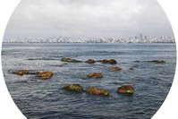 In u201cFloating Tactics After a Sunken Island,u201d Horada brought together work by various artists and she has curated an uplifting, adventurous and amusing exhibition.