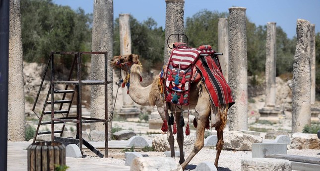 يعود تاريخ المنطقة الأثرية في بلدة سبسطية الفلسطينية شمالي الضفة الغربية إلى العصر البرونزي 3200 قبل الميلاد صورة: الأناضول