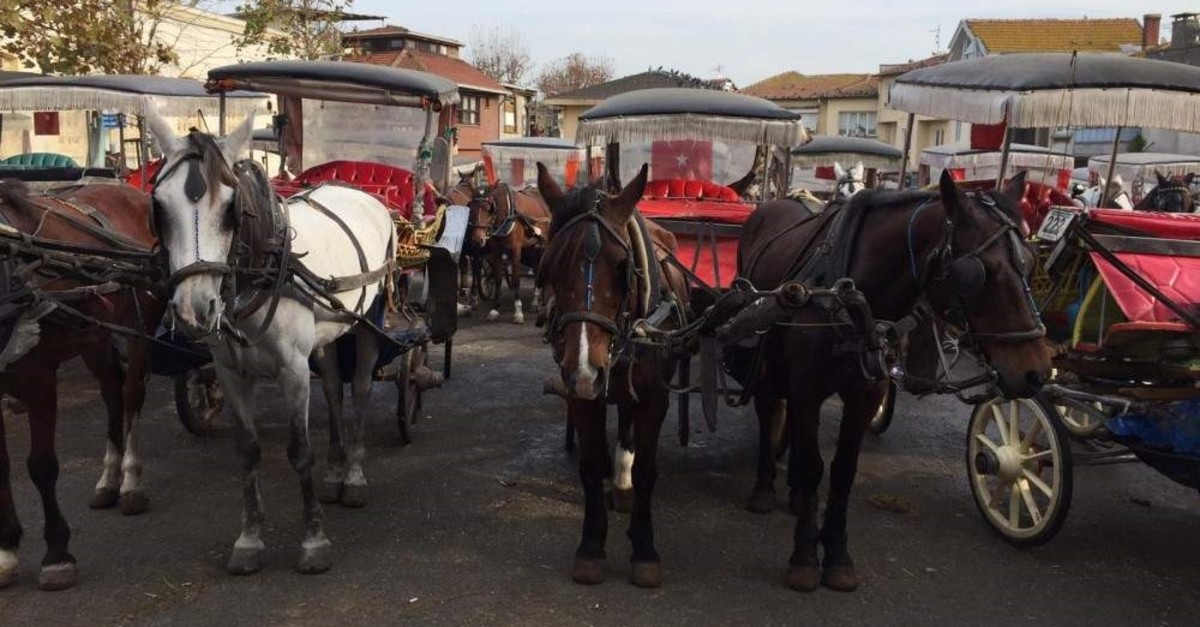 In Istanbul's Princes' Islands, over 500 carriage horses die in a year due  to abuse, heat, overloaded carriages and exhaustion – Straight from the  Horse's Heart