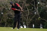 Woods watches his shot on the 14th hole during the final round of the Zozo Championship PGA Tour, Inzai, Oct. 28, 2019. (AP Photo)