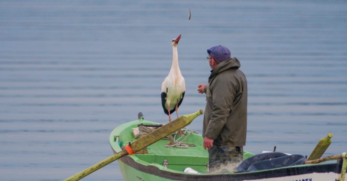 Adem Yu0131lmaz and Yaren the stork pictured at Lake Uluabat in Turkey's Bursa province, March 1, 2019 (IHA Photo)