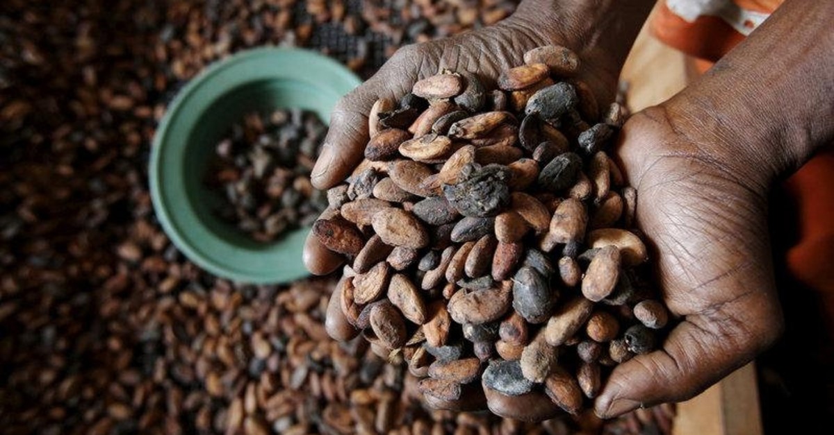 Coffee is under the threat of extinction due to climate change, among other foods.