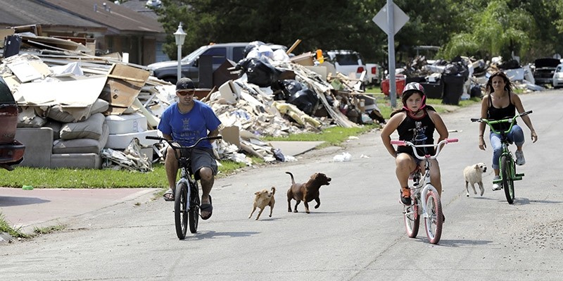 Dogs chase people riding their bicycles down a street lined with debris from flooded homes in the aftermath of Hurricane Harvey Wednesday, Sept. 6, 2017, in Houston. (AP Photo)