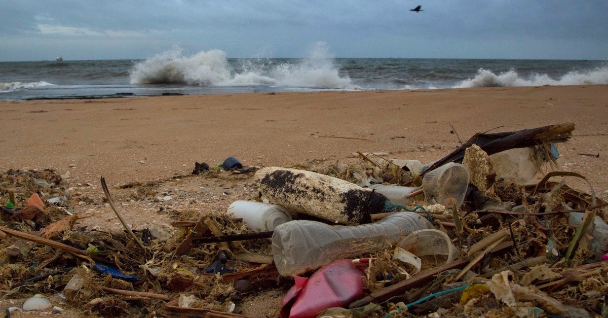 I Am Not Plastic Marine Life Can Be Saved Daily Sabah