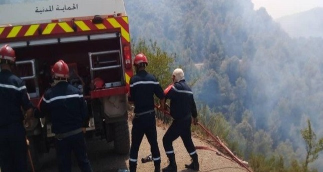 عناصر من الحماية المدنية يعملون على إخماد حرائق في الغابات بالجزائر صورة: وكالة الأنباء الجزائرية