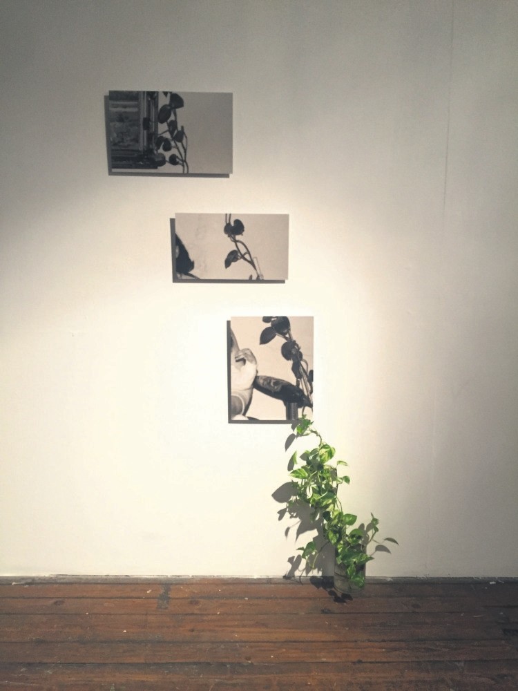 u201cIvyu201d (2018) is a fine art print on aluminum, containing a single imaged cropped into three. It tells the multigenerational tale of the artist, her mother and grandmother as a reflection on womanhood and tradition.