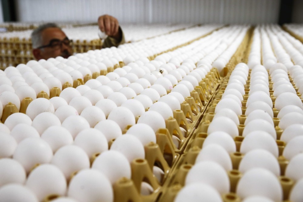 A man inspects fresh eggs stacked in crates at an egg farm in Doornenburg, the Netherlands. Dutch authorities have suspended the trade of the eggs since a number of farms have used Fipronil against red mites.