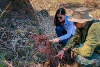 Handout picture released by the communications office of the State University of Maringa (UEM) of paleontologists working at the site where fossilised bones of a dinosaur were found in Maringa, Parana state (AFP Photo)
