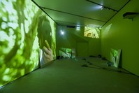 Photo: Batu Tezyu00fcksel