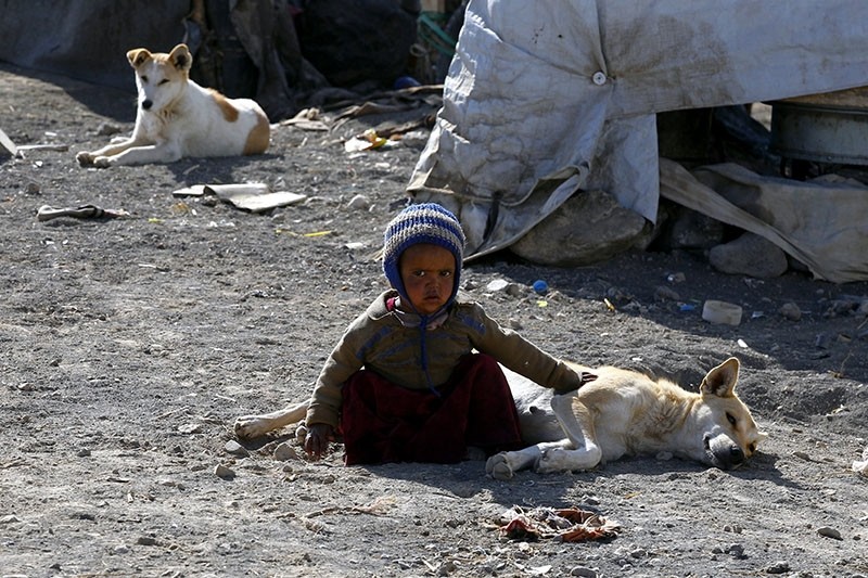 A displaced Yemeni child plays with a dog outside a makeshift shelter at a camp for Internally Displaced Persons (IDPs) in the northern province of Amran, Yemen, Jan. 10, 2018. (EPA Photo)