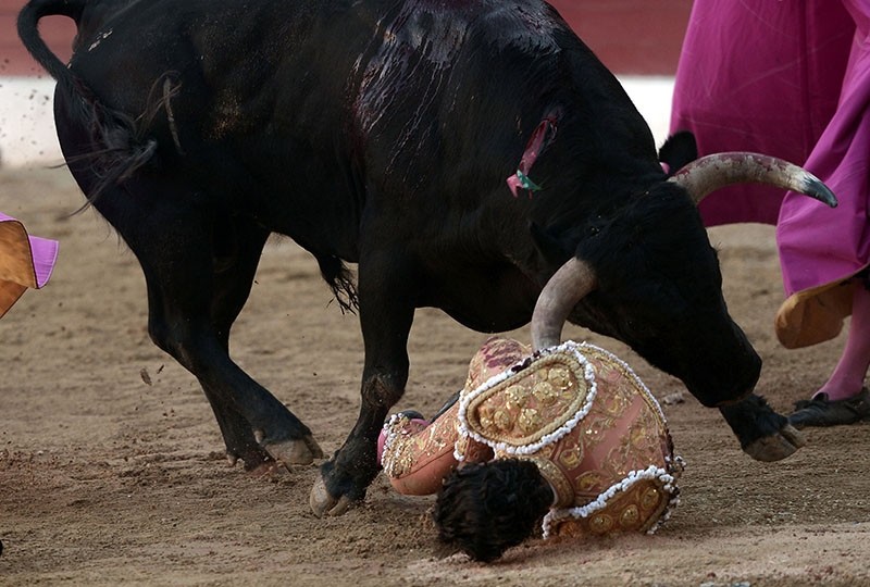 Spanish matador Ivan Fandino is impaled by a Baltasar Iban bull during a bullfight at the Corrida des Fetes on June 17, 2017 in Aire sur Adour, southwestern France. (AFP Photo)