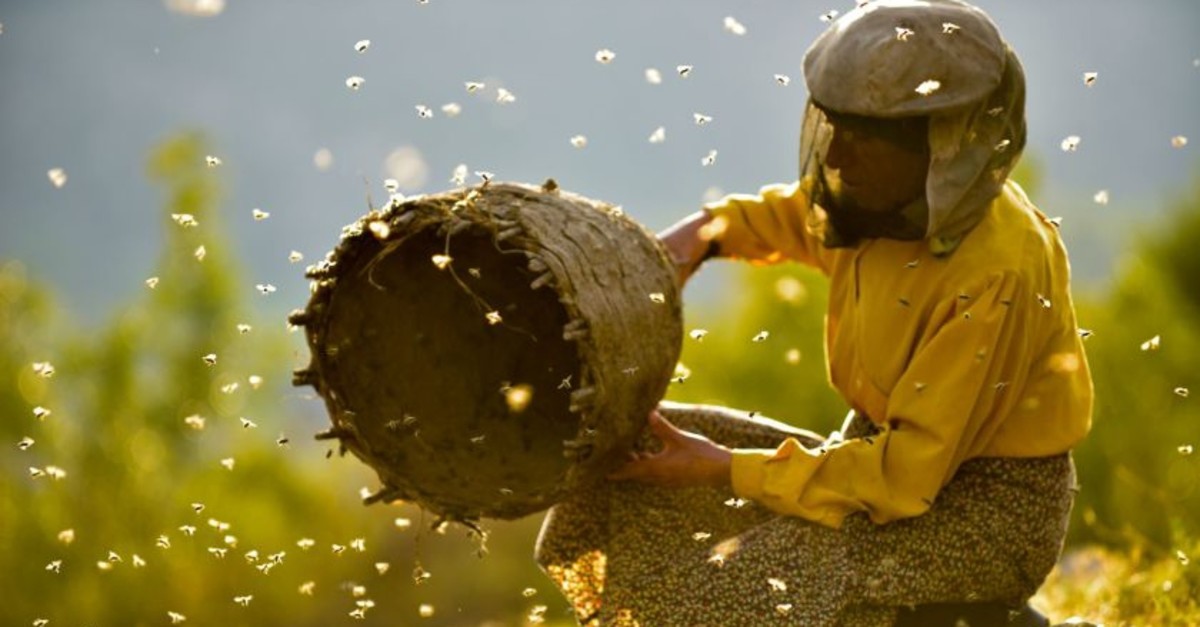 Hatidze Muratova in the documentary u201cHoneyland.u201d