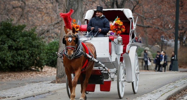 الأتراك يحافظون على تقليد عربات الخيل في سنترال بارك بنيويورك