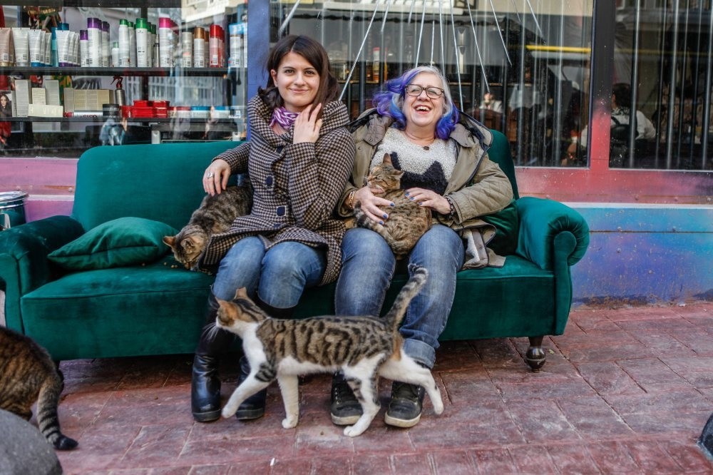 Cihangir Cool for Cats: The unsung heroes giving hope to ...