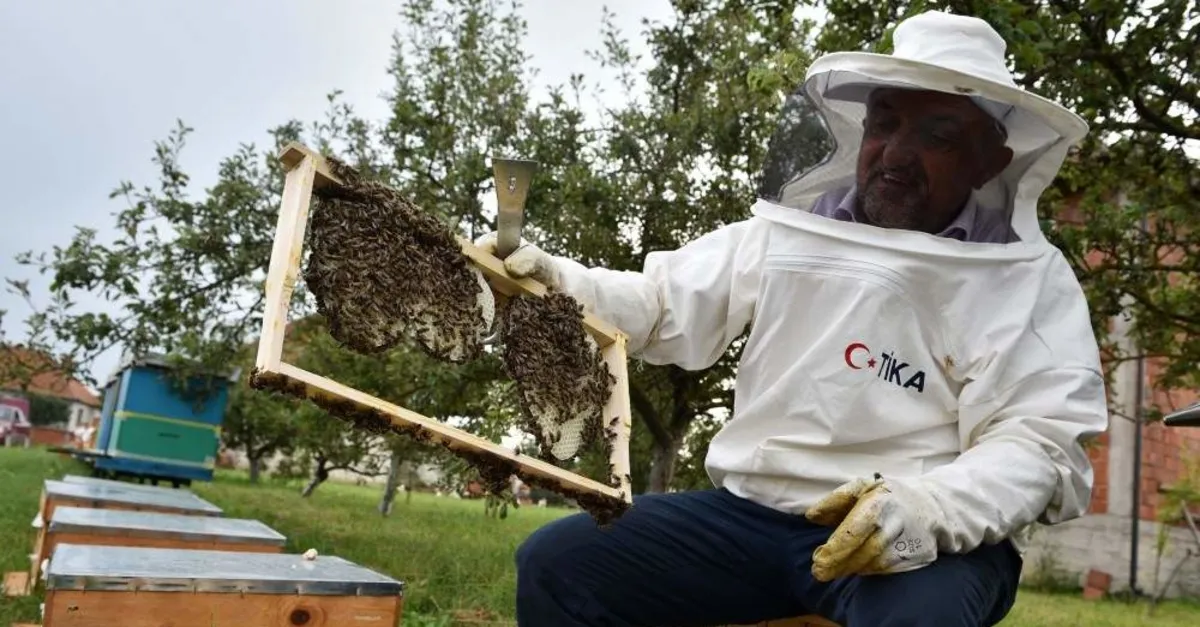 Beekeeping will help families in rural Kosovo earn extra income.