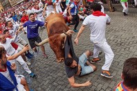 A 'mozo', is caught by the horn of a bull of Miura ranch during the last 'encierro,' or running-with-the-bulls, of the Sanfermines festivities in Pamplona, Spain, 14 July 2019. (EPA Photo)
