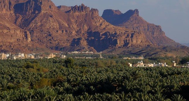 بساتين النخيل في العلا عن تويتر