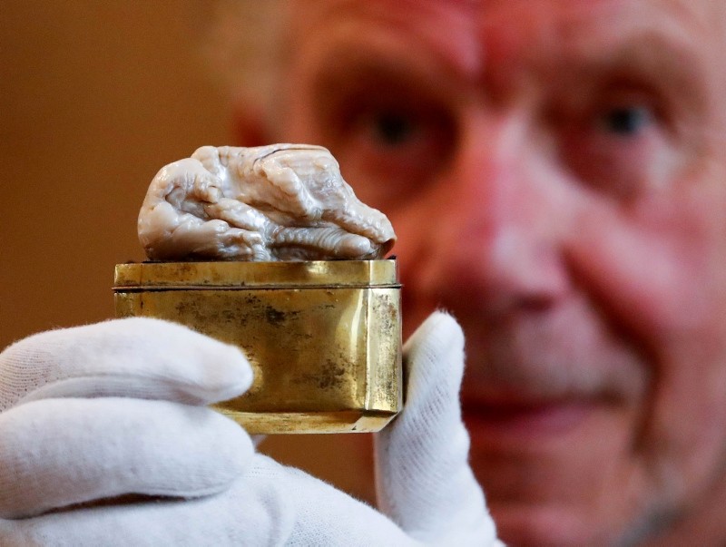 Herman Dommisse, the owner of The Sleeping Lion Pearl, which once belonged to Catherine the Great and believed to be the world's largest freshwater pearl, shows the pearl before being auctioned in the Hague, Netherlands May 28, 2018 (Reuters Photo)