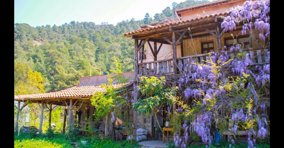 Where To Stay Or Volunteer On A Farm In Turkey Daily Sabah