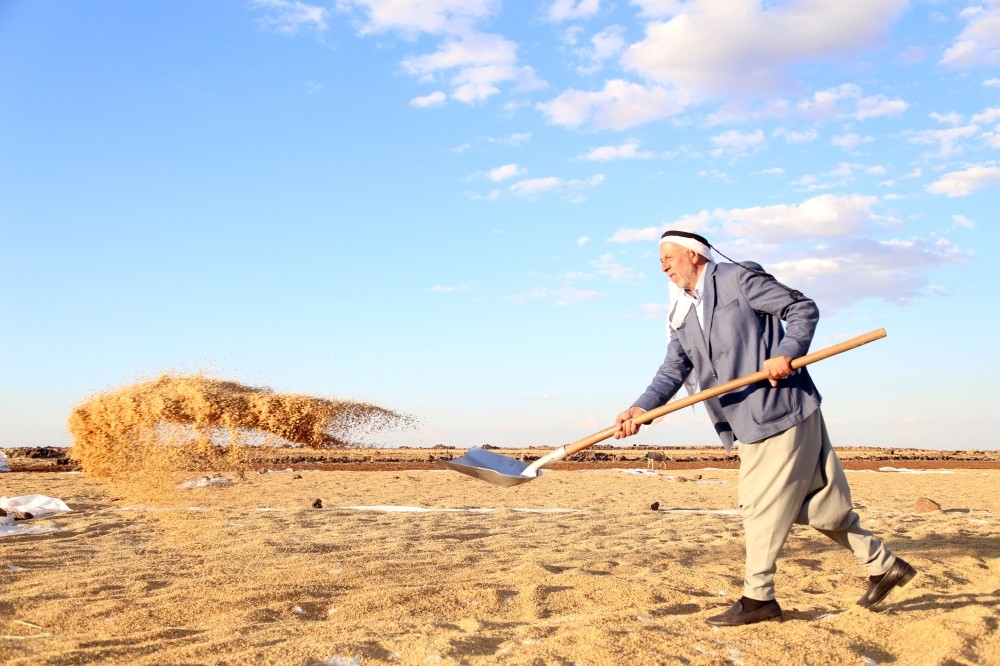 The most distinct feature of Karacau011f rice is that a glass of the grain needs three glasses of water while the rate is 1/1 for other types of rice.