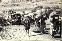 People who were suddenly forced to leave their homes try to find a safe place for themselves after the Israeli occupation in the late 1940s. 