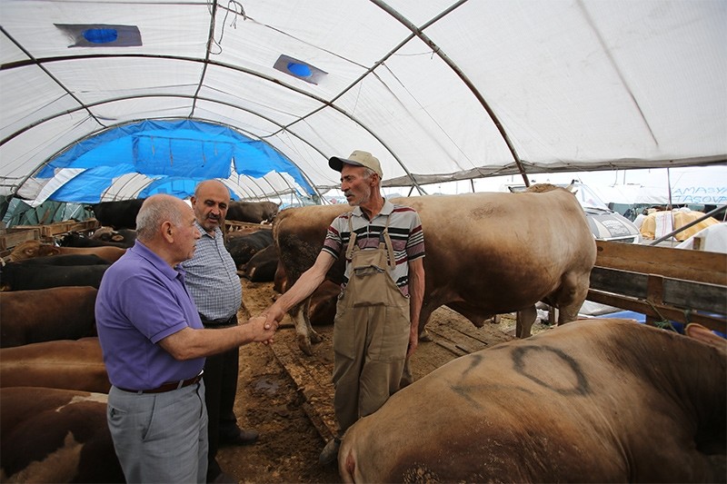 Turkey's Qurban Bayram traditions keep up with changing times | Daily Sabah