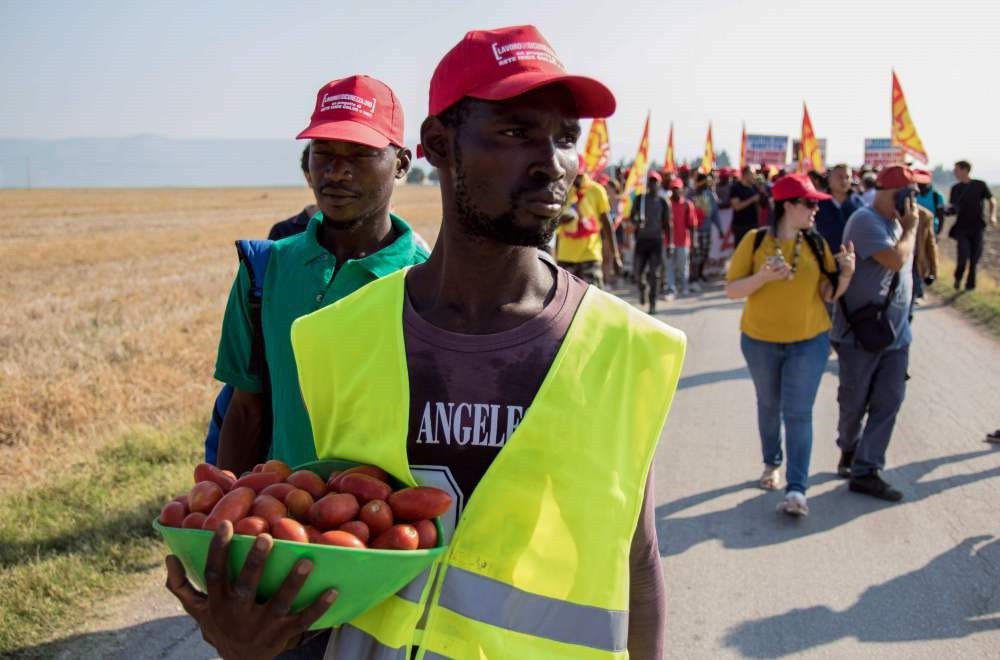 A migrant worker holds a basket of tomatoes during a march near Foggia, Aug. 8.