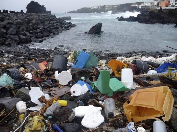 The level of plastic litter scattered across the world's oceans and seas has recently peaked, posing a serious threat to both human and animal life.