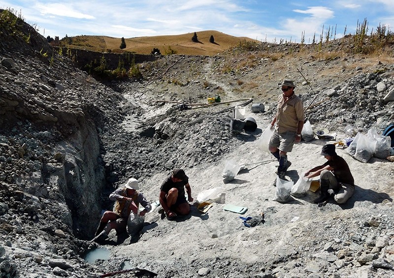 This undated handout picture released by the Te Papa Museum to AFP on January 11, 2018 shows scientists working at an excavating site in St Bathans in New Zealand's Central Otago (AFP Photo)