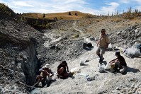This undated handout picture released by the Te Papa Museum to AFP on January 11, 2018 shows scientists working at an excavating site in St Bathans in New Zealand's Central Otago (AFP Photo)