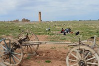 After theoretical training, tourists can experience the excitement of finding small sculptures, ceramic and copper pieces that have been placed under the soil with the help of trowels and brushes under the supervision of archaeologists.