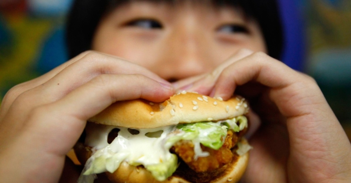 A boy poses with a chicken burger at a fast food outlet in Taipei January 29, 2010. (Reuters Photo)