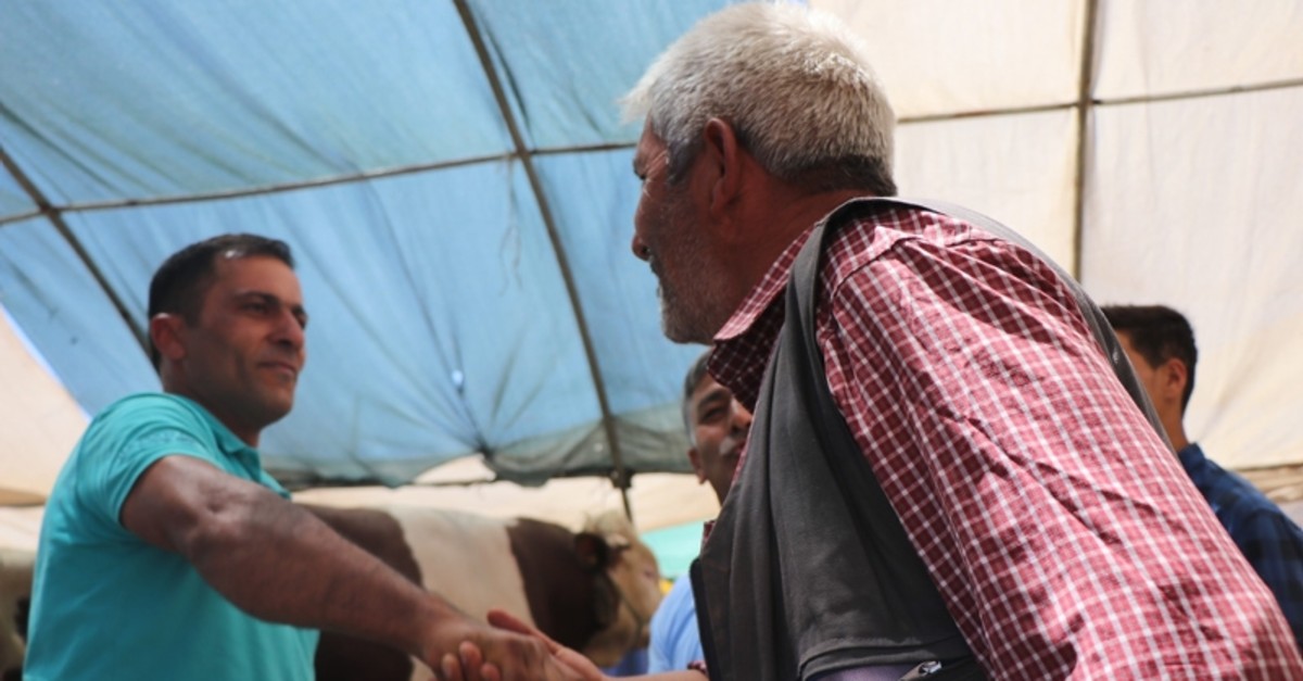 Cattlebreeder Orhan Kaya haggling with another man at a livestock market in central Turkey's Kayseri, Thursday, Aug. 8, 2019. (IHA Photo)
