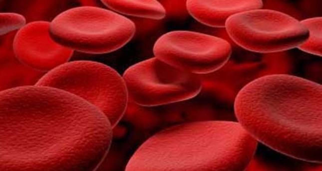 qué es rdw alto en la sangre