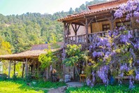 Pastoral Vadi Ecological Life Farm in Fethiye is the perfect place to learn ecological farming.