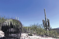 A view of Tehuacan-Cuicatlan Valley in Mexico.