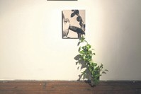 u201cIvyu201d (2018) is a fine art print on aluminum, containing a single imaged cropped into three. It tells the multigenerational tale of the artist, her mother and grandmother as a reflection on womanhood and tradition.