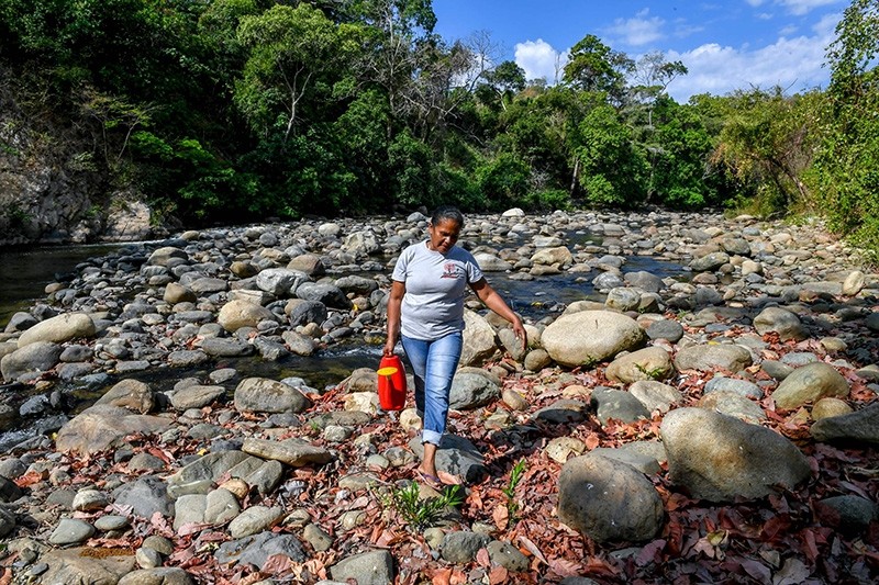 A local farmer carries water from the Jerez river, to water Guaimaro (Brosimum alicastrum) trees at a small farm in Dibulla, La Guajira department, Colombia (AFP Photo)