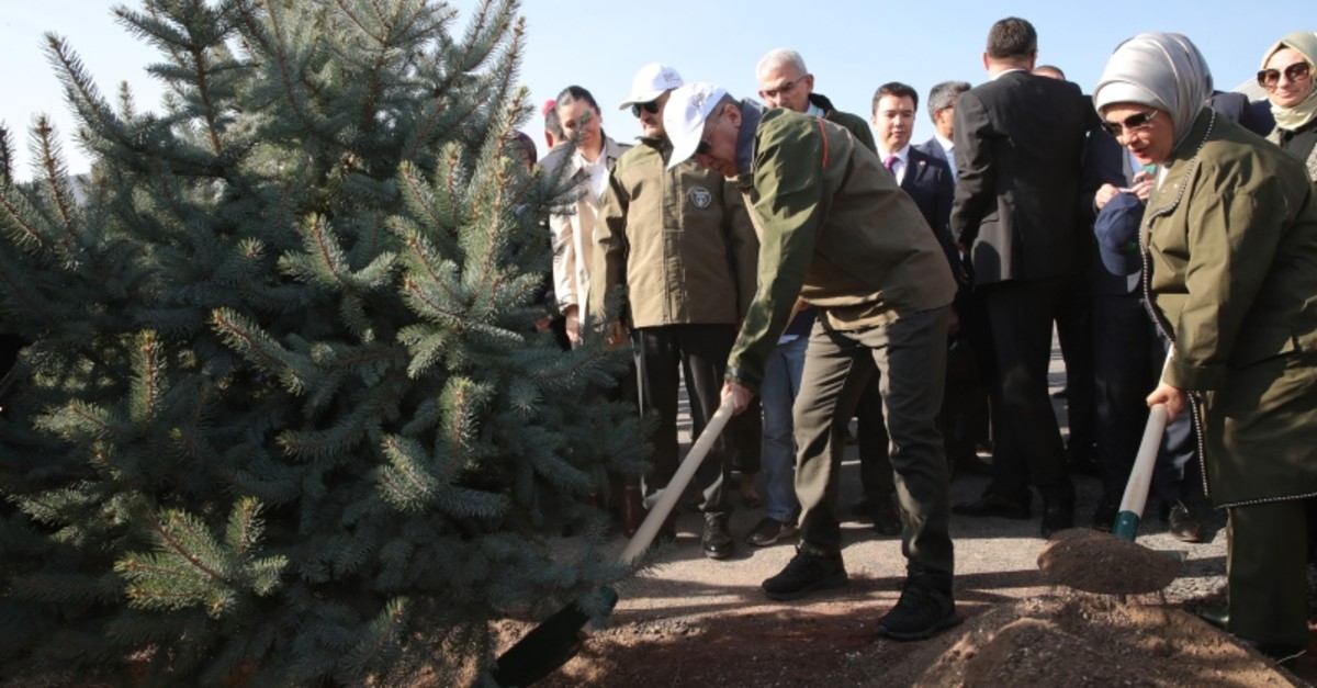 President Recep Tayyip Erdou011fan plants the first sapling to kick-start the ,Breath for the Future, mass tree plantation event, Ankara, Turkey, Nov. 11, 2019. (AA Photo)
