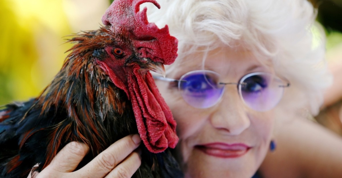 Corinne Fesseau poses with her rooster Maurice, whose loud crows landed him in court accused of noise pollution, in Saint-Pierre-d'Oleron, France August 31, 2019. (REUTERS Photo)