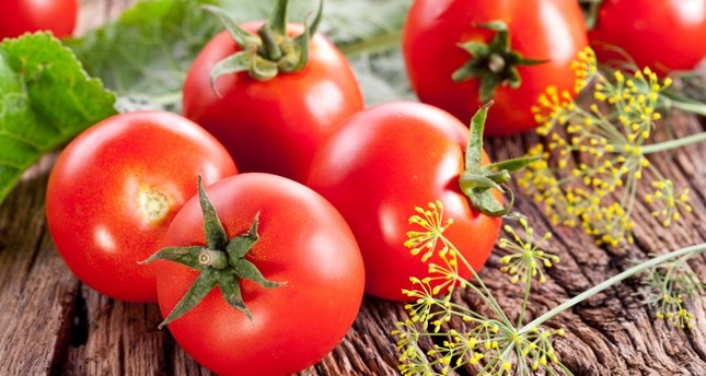 الطماطم التركية تعود للأسواق الروسية بداية العام المقبل