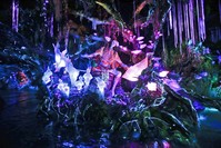 Landscaping consisting of real plant species mixed with sculpted Pandora flora surrounds a pond at the Pandora-World of Avatar Land attraction in Disney's Animal Kingdom theme park at Walt Disney World in Lake Buena Vista.