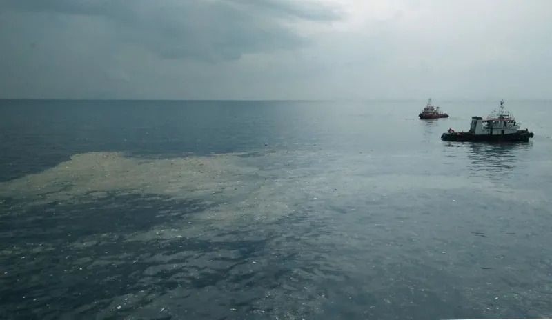 Plane carrying 189 crashes into sea off the coast of Indonesia's Java ...
